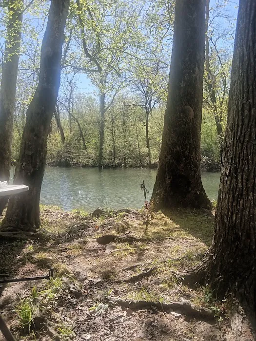 Pearsons Landing RV Park 6