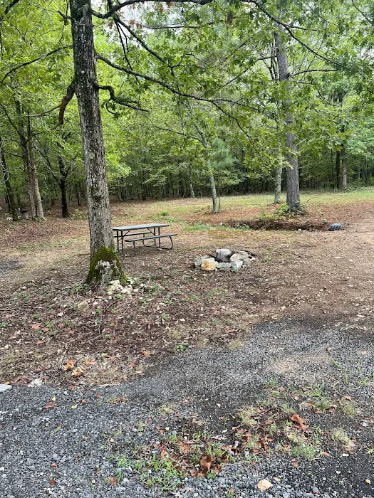 The Ponds RV Park 2