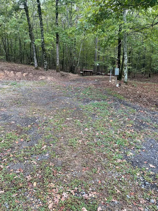 The Ponds RV Park 3