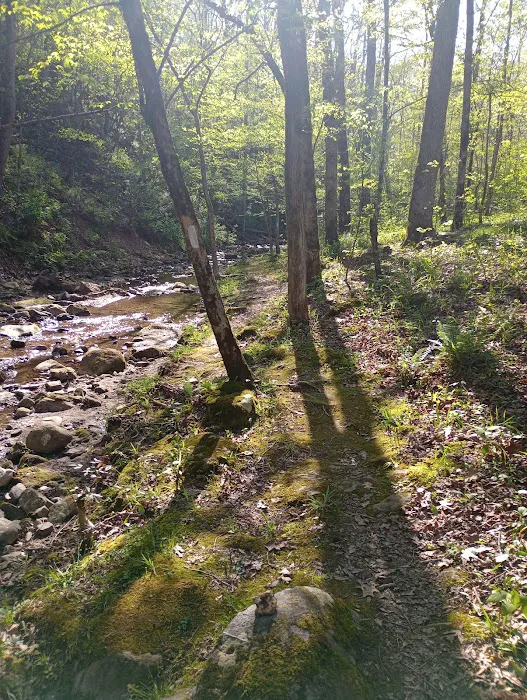 Crystal Recreation Area 3