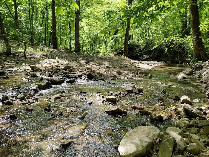 Crystal Recreation Area 4