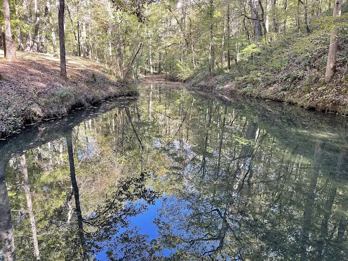 Crystal Recreation Area 10