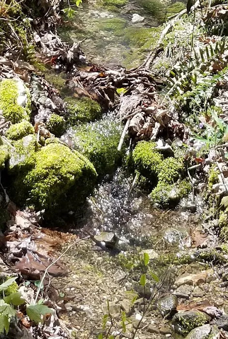 Crystal Recreation Area 6