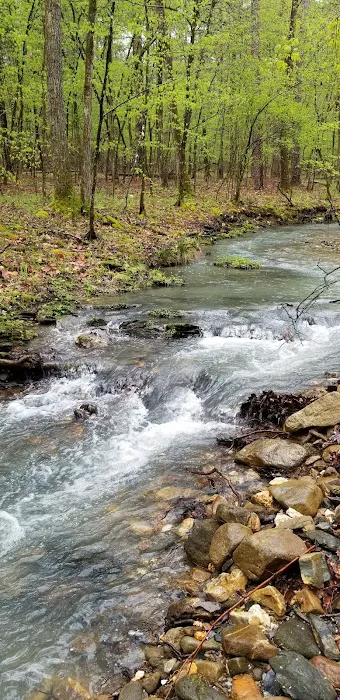 Crystal Recreation Area 5