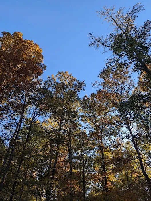 Crystal Recreation Area 7