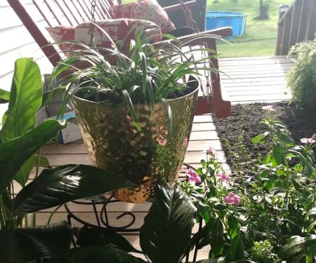 Mountain View Mobile Home Park