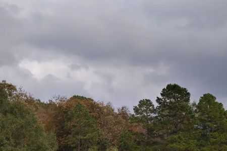 Southern R.V. Park