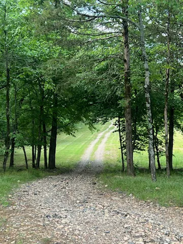 Mena Creekside RV Park 8
