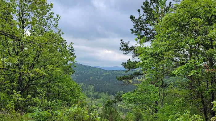 Screaming Eagle Cabins 1
