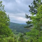 Screaming Eagle Cabins