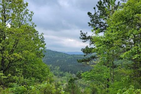 Screaming Eagle Cabins