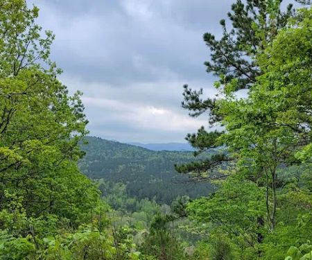 Screaming Eagle Cabins