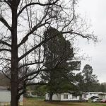 Hillside Bayou Mobile Home Park