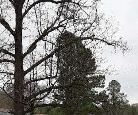 Hillside Bayou Mobile Home Park