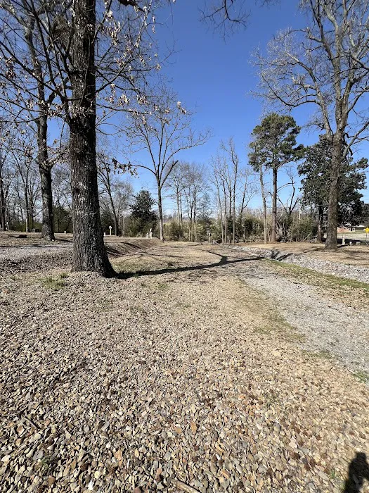 Giffords RV Park 8