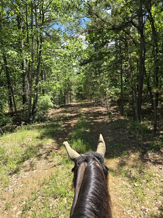 Serenity Hollow campground 4