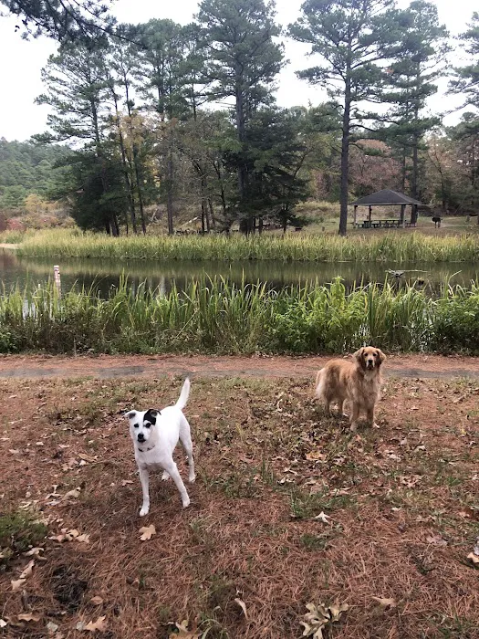 Cedar Lake Recreation Site 7