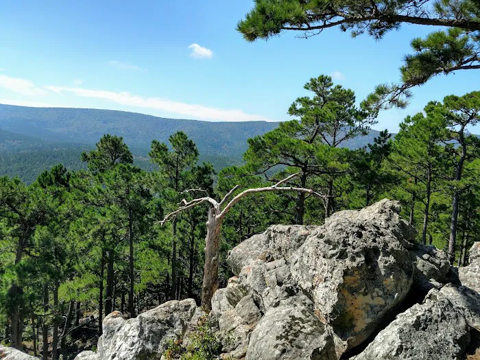 Cedar Lake Equestrian Campground 7
