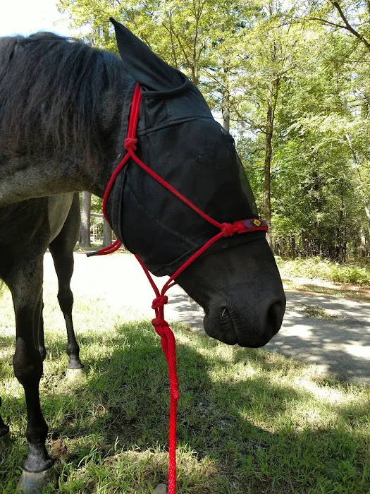 Cedar Lake Equestrian Campground 9