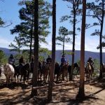 Cedar Lake Equestrian Campground