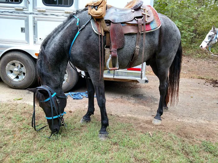 Cedar Lake Equestrian Campground 10