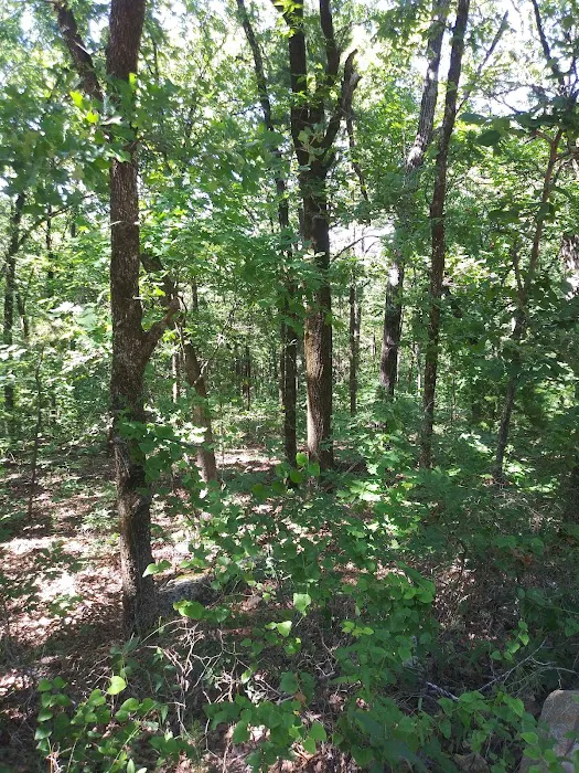Winding Stair Campground 10