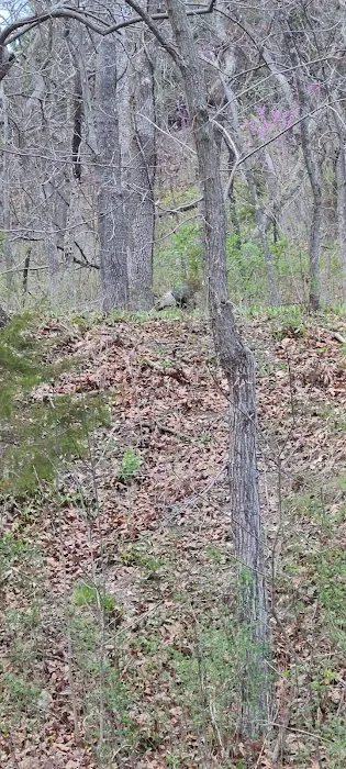 Shawnee Mission Park Campsite & Youth Camp 2 7