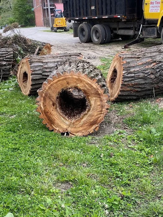 Wagon Wheel Mobile Park, LLC 1