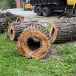 Wagon Wheel Mobile Park, LLC