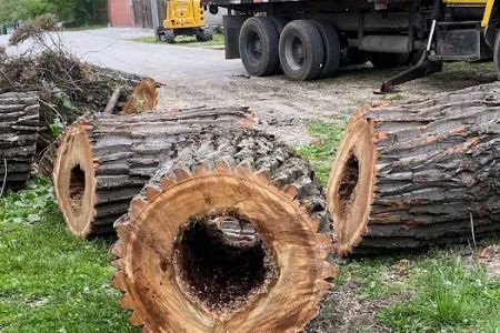 Wagon Wheel Mobile Park, LLC