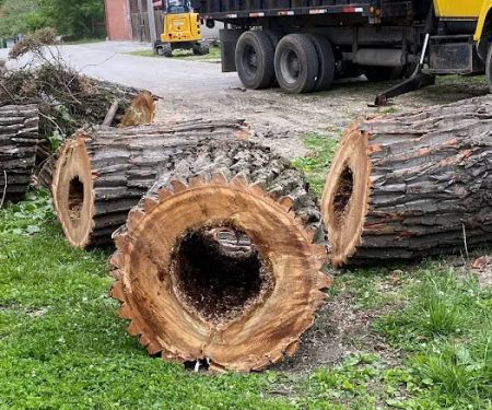 Wagon Wheel Mobile Park, LLC