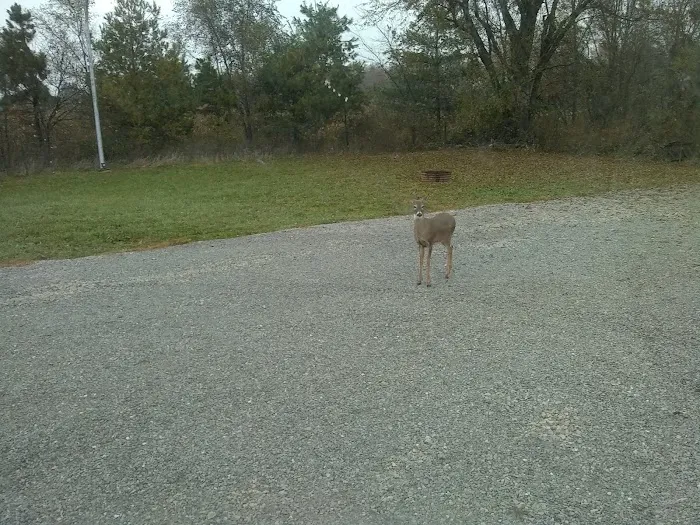 Mayview RV Park 6