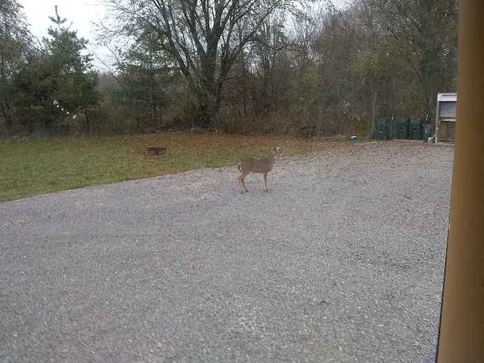 Mayview RV Park 5