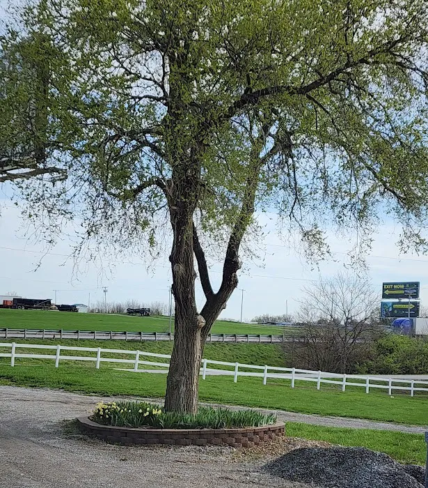 The Great Escape RV Park & Campground 10
