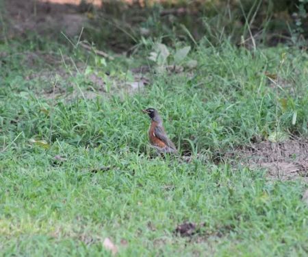 Canyon Creek RV Park