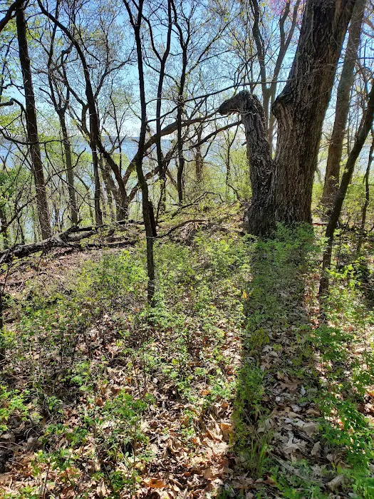 Bloomington West Campground 6