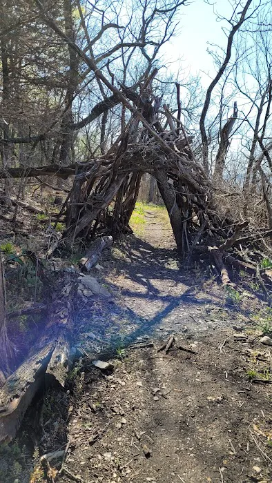 Coneflower Campground 4