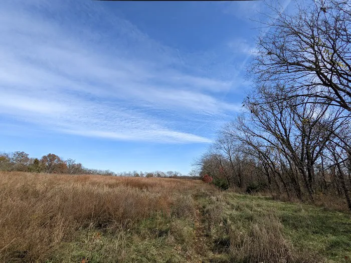 Woodridge Public Use Area 6