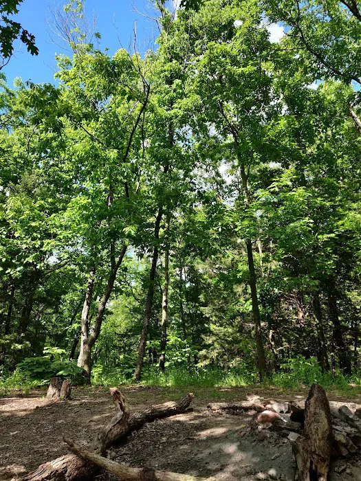 Woodridge Public Use Area 10