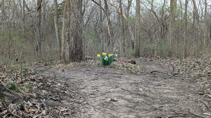 Woodridge Public Use Area 5