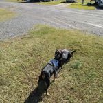 Hidden Valley RV Park