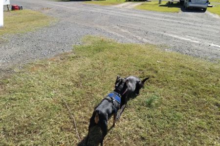 Hidden Valley RV Park