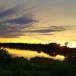 Harbor RV Park & Secure Storage