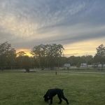 Lewis RV Park