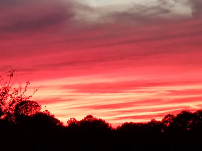 Hot Rod Hill RV Park 6