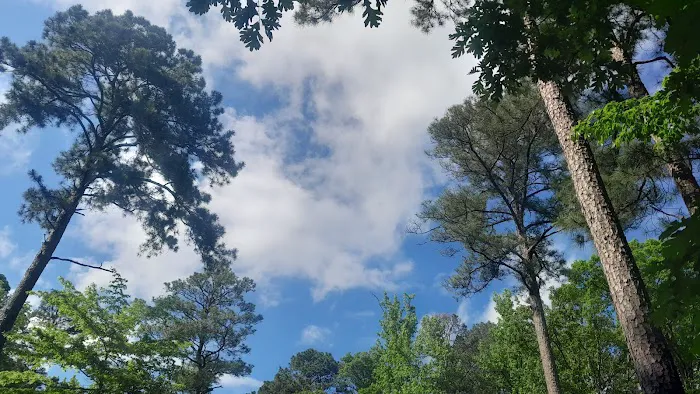 Lake Catherine State Park Campground 1