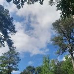 Lake Catherine State Park Campground