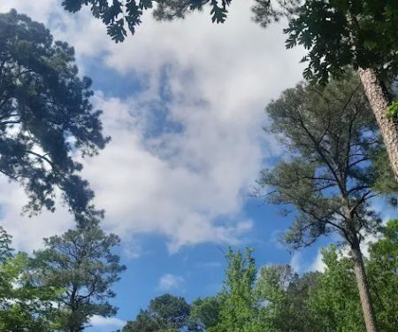 Lake Catherine State Park Campground