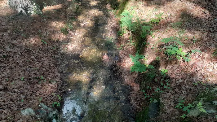 Lake Catherine State Park Campground 2