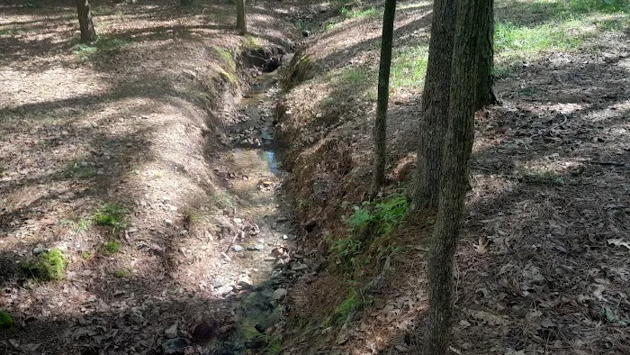 Lake Catherine State Park Campground 8